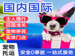 果洛玛沁空运地址国际宠物托运 【国